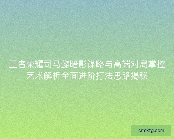 王者荣耀司马懿暗影谋略与高端对局掌控艺术解析全面进阶打法思路揭秘